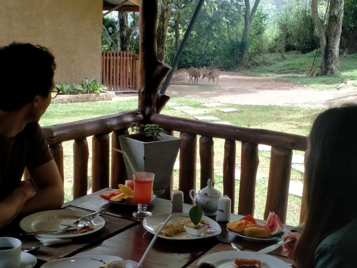 Saffron Eco Cottage 엘라 외부 사진