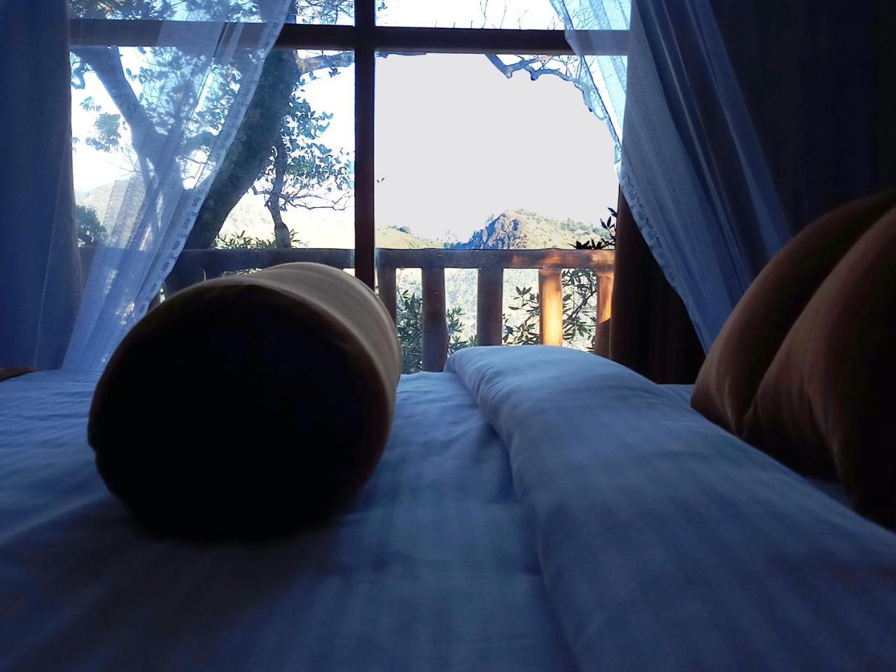 Saffron Eco Cottage 엘라 외부 사진