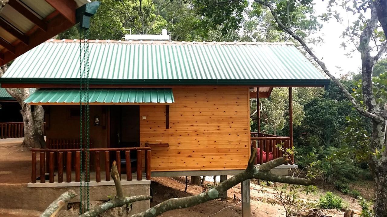 Saffron Eco Cottage 엘라 외부 사진