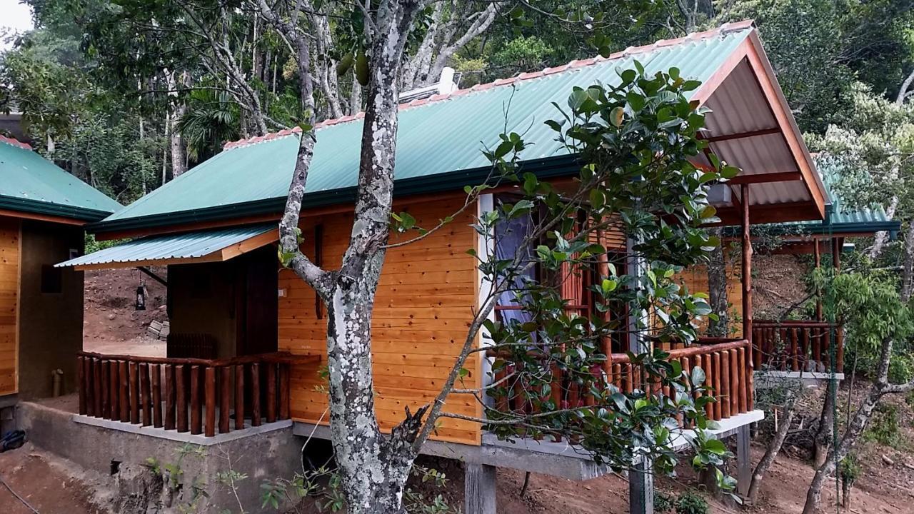 Saffron Eco Cottage 엘라 외부 사진