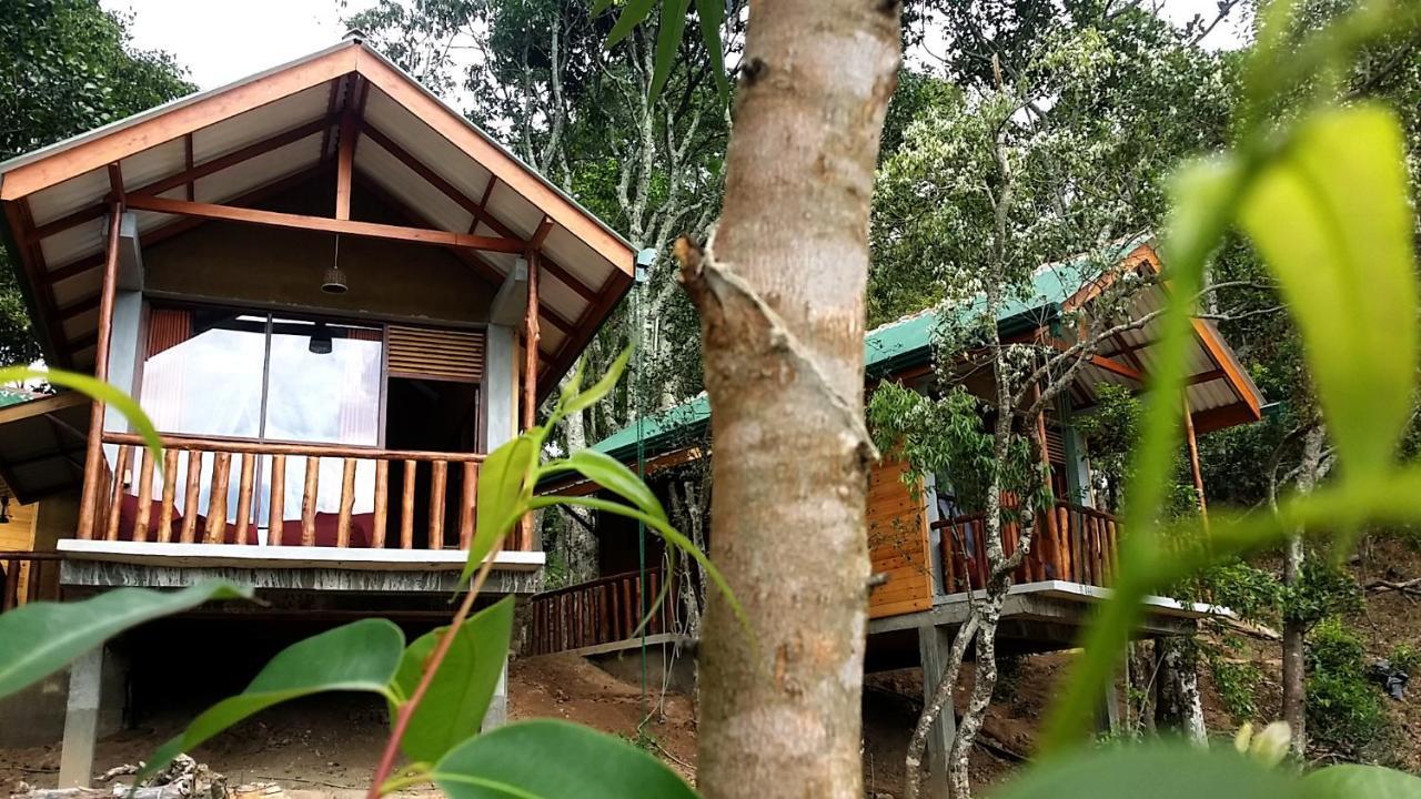 Saffron Eco Cottage 엘라 외부 사진