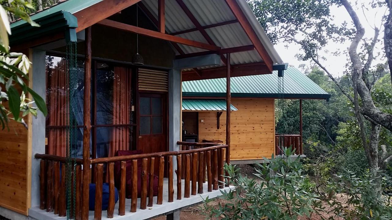 Saffron Eco Cottage 엘라 외부 사진