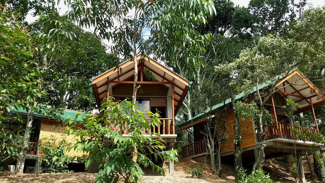 Saffron Eco Cottage 엘라 외부 사진