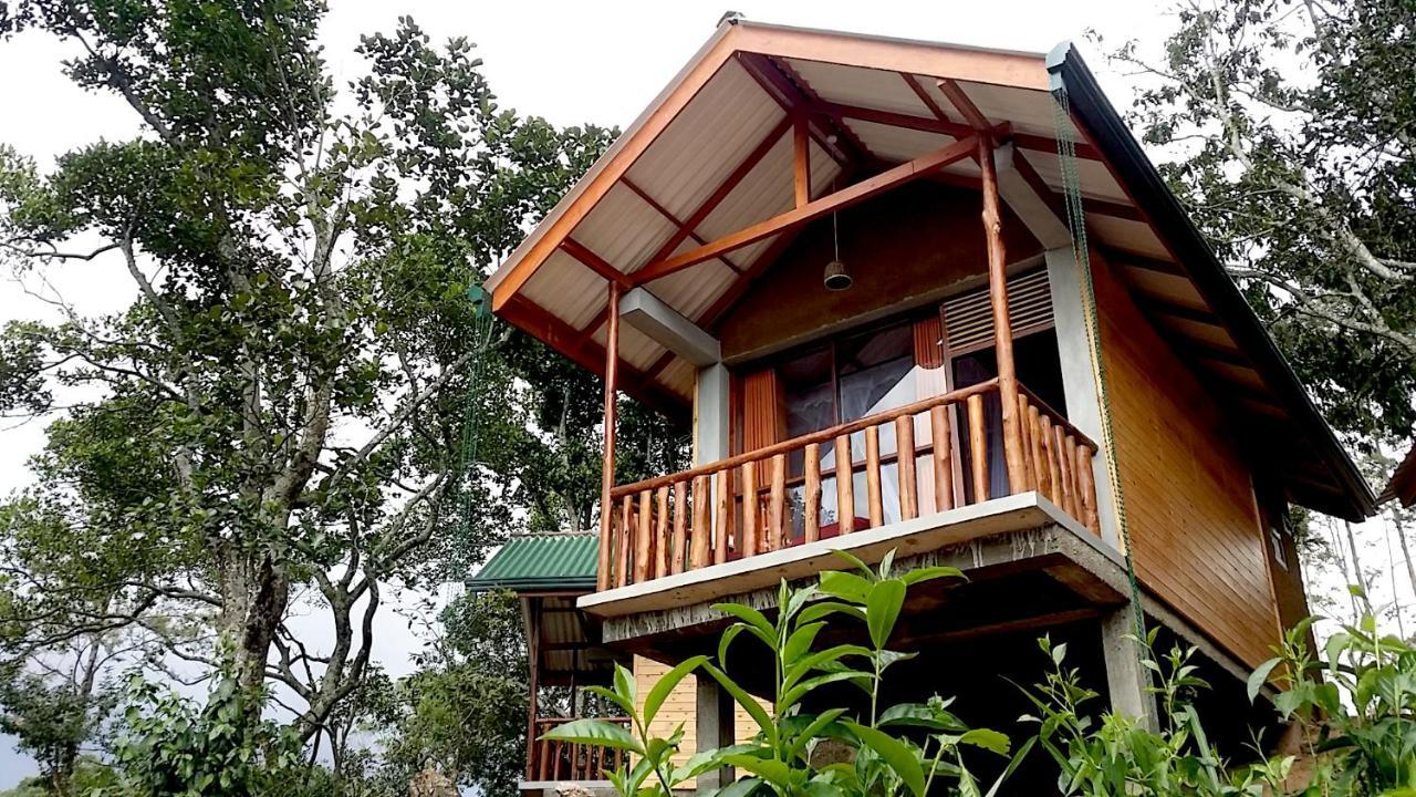 Saffron Eco Cottage 엘라 외부 사진